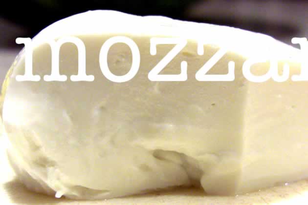 mozarella