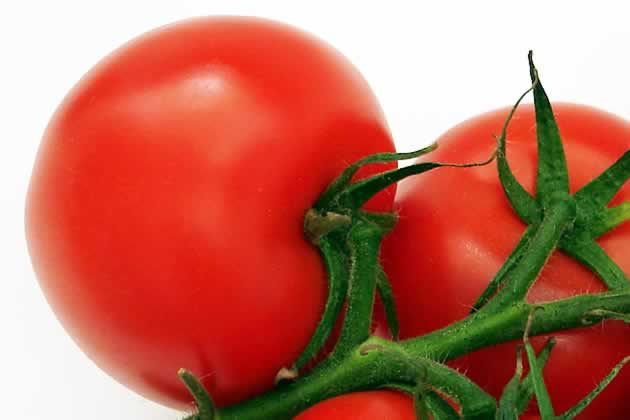 tomaten