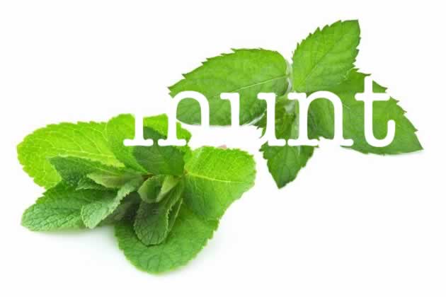 munt