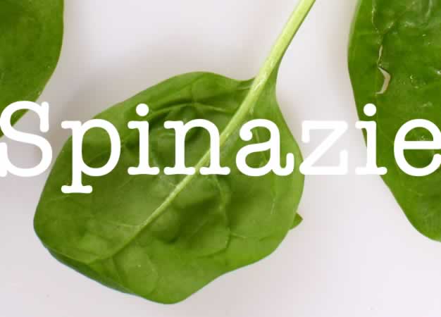 spinazie vers