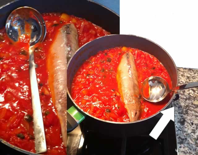 Lepel in de pan